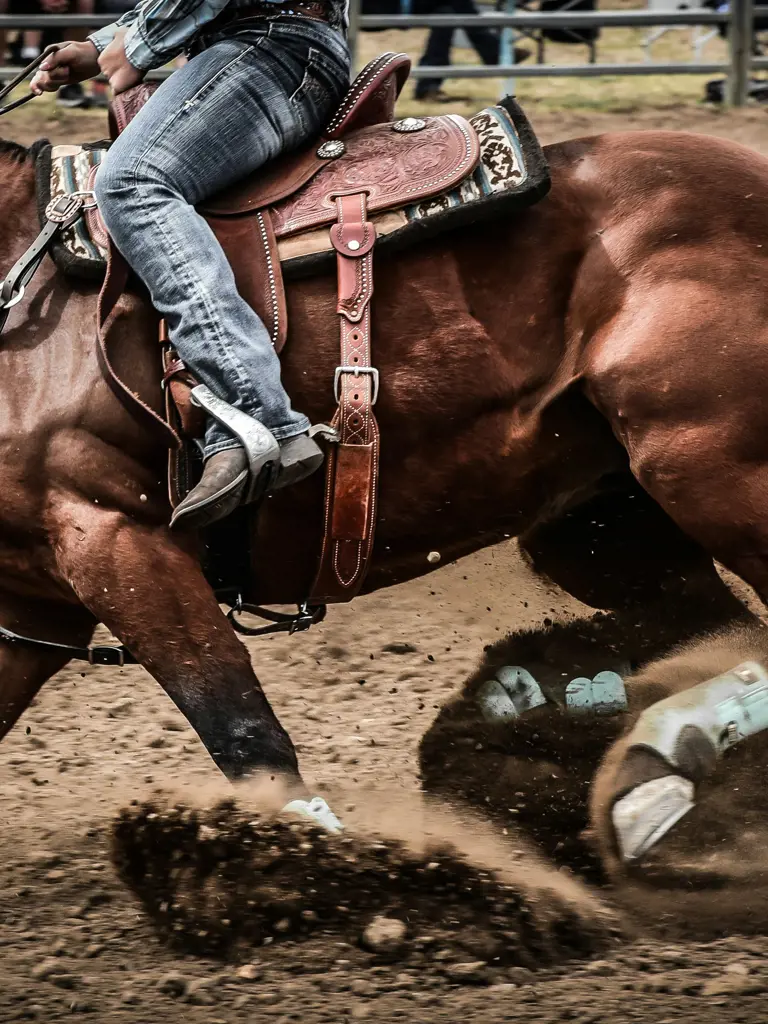Calgary Stampede – das grösste Rodeo in Kanada